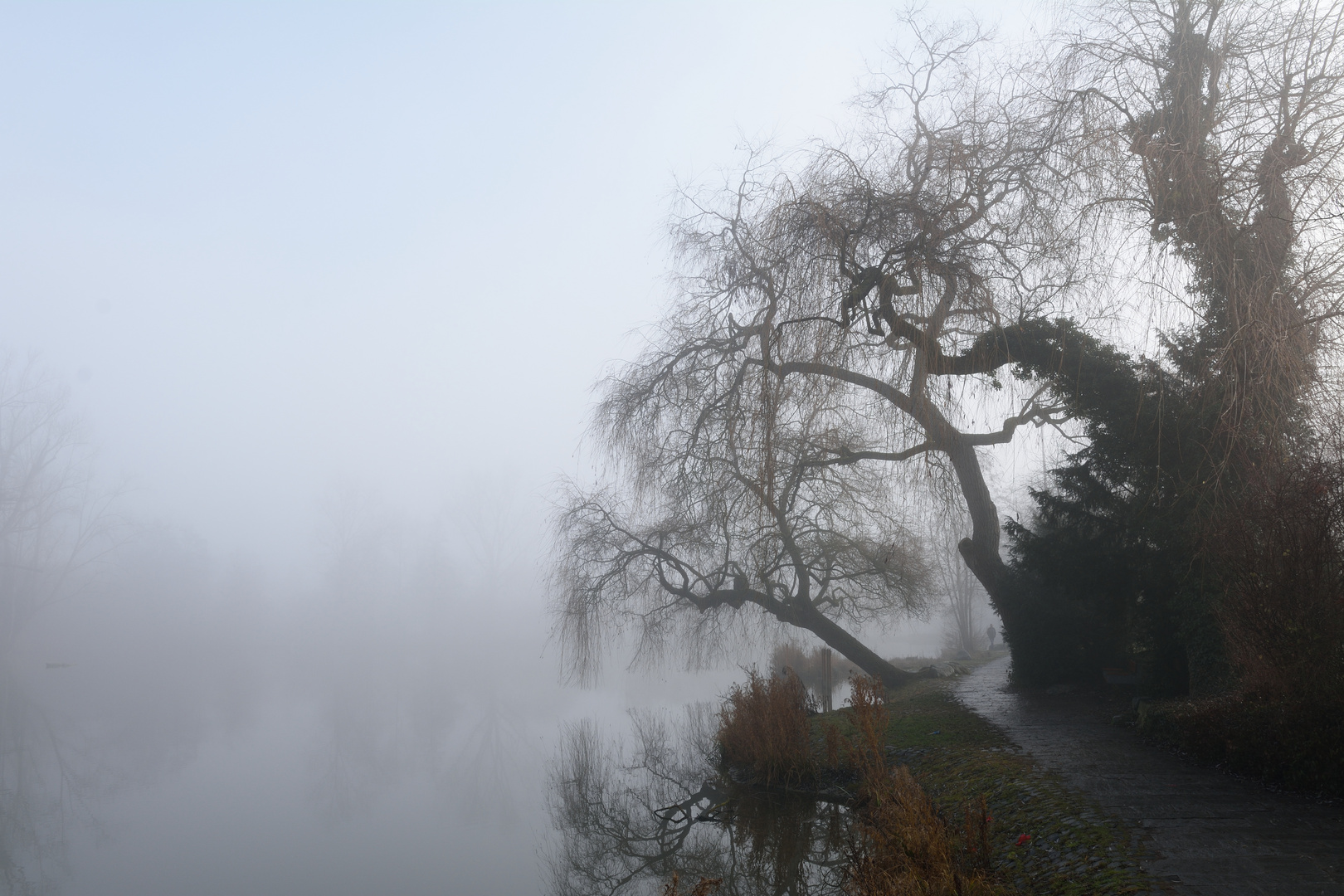 Nebelstimmung am Klostersee