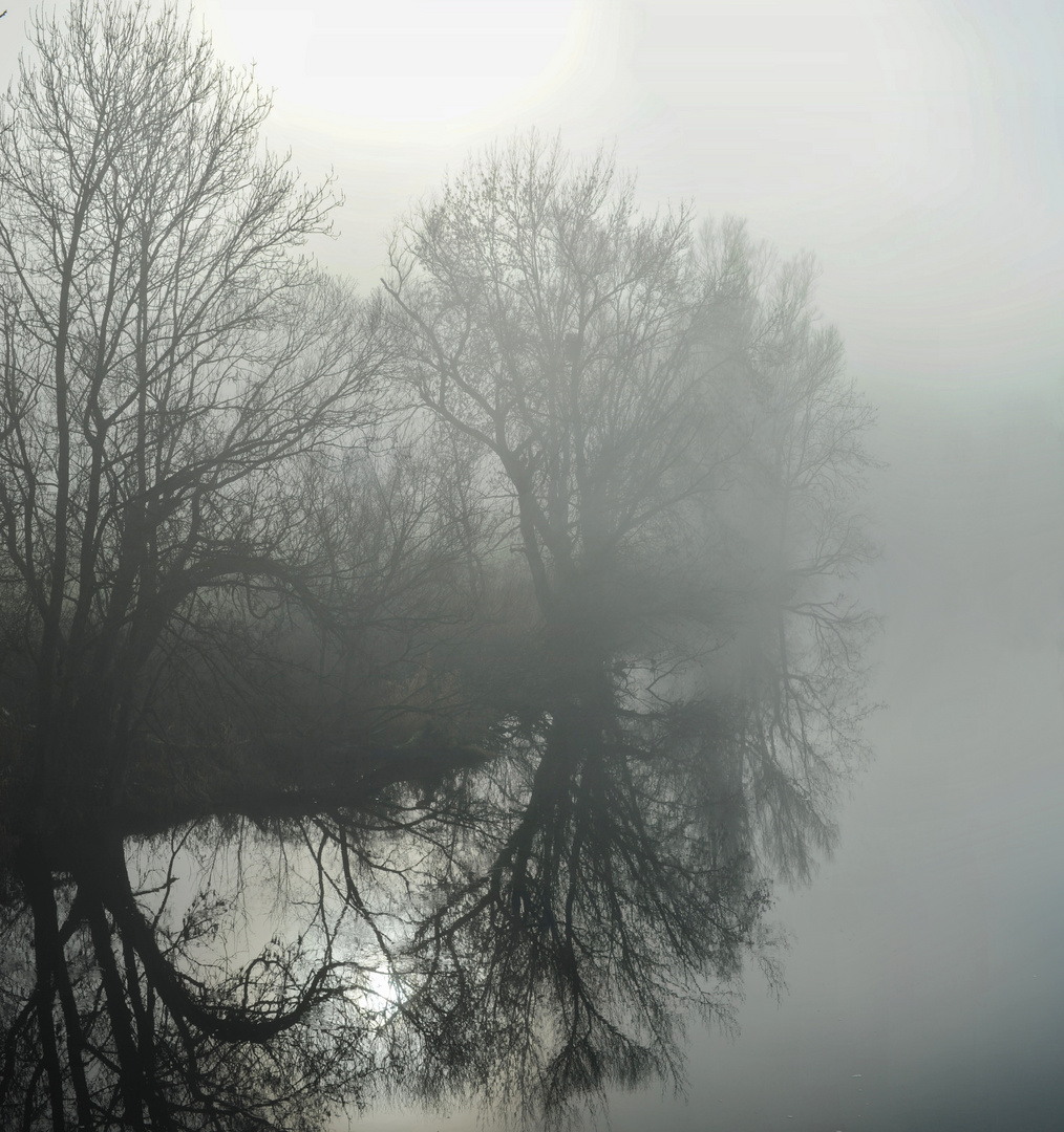 Nebelstimmung am Kocher