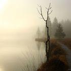 Nebelstimmung am Königssee