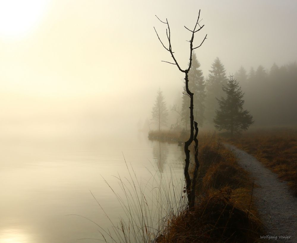 Nebelstimmung am Königssee