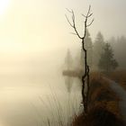 Nebelstimmung am Königssee