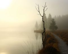 Nebelstimmung am Königssee