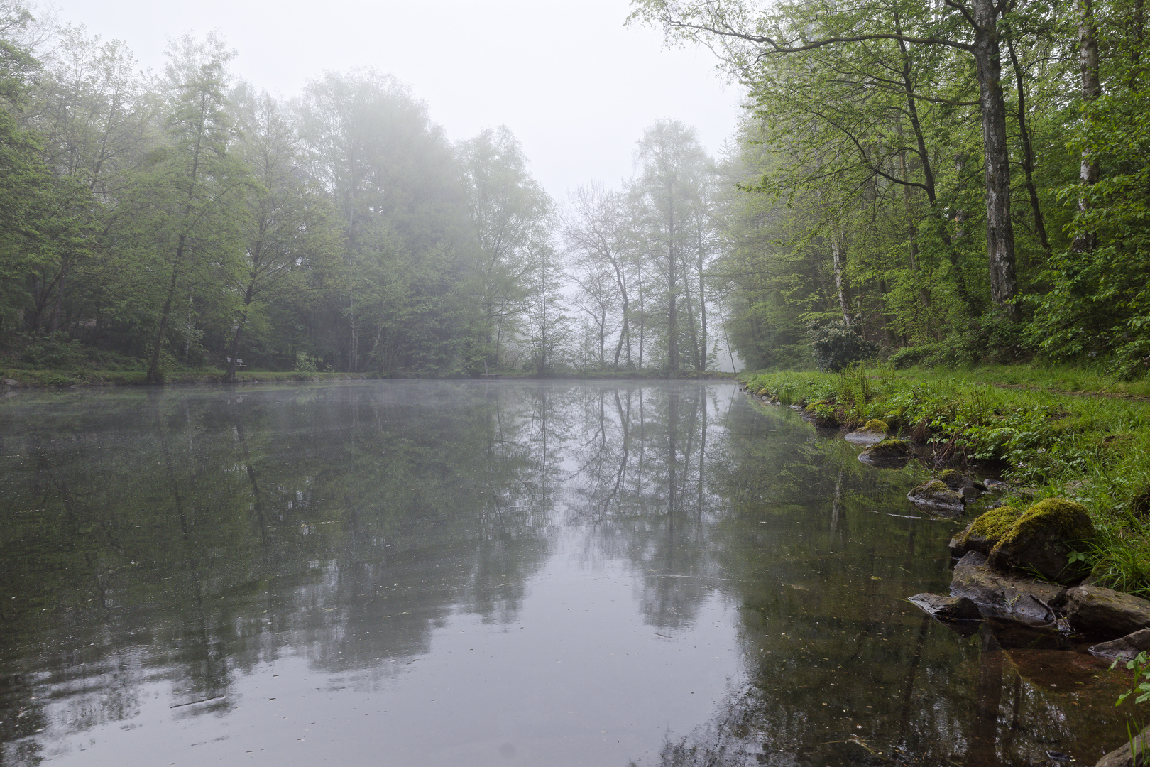 Nebelstimmung am Lasbachweiher