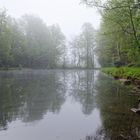 Nebelstimmung am Lasbachweiher