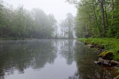 Nebelstimmung am Lasbachweiher