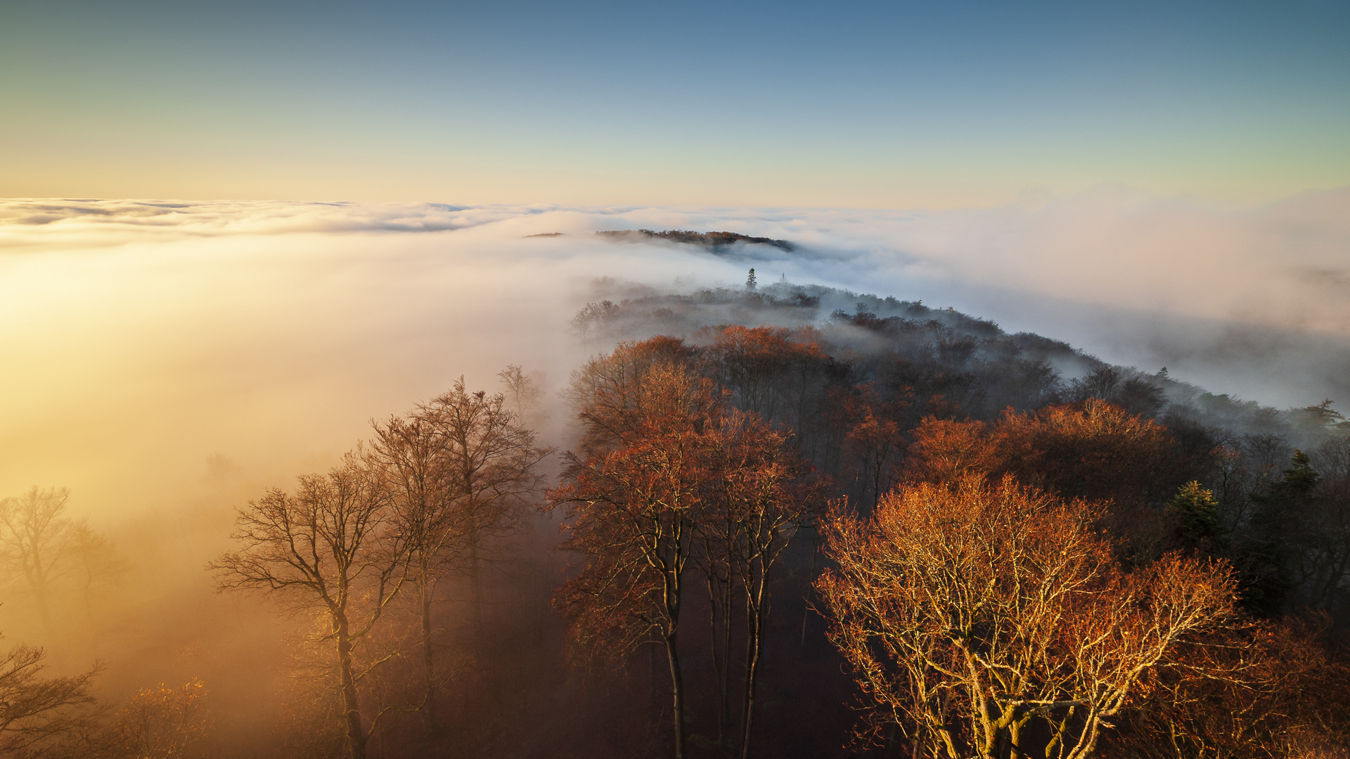 Nebelstimmung am Luitpoldturm