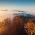 Nebelstimmung am Luitpoldturm