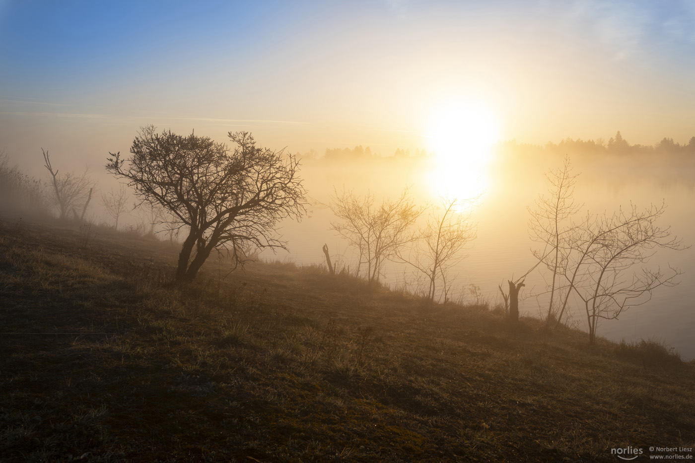 Nebelstimmung am Morgen