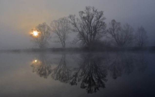 Nebelstimmung am Morgen...
