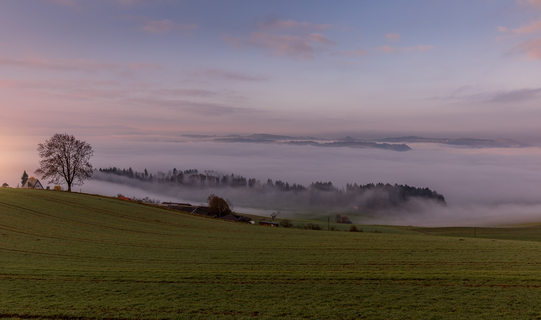 Nebelstimmung am Morgen