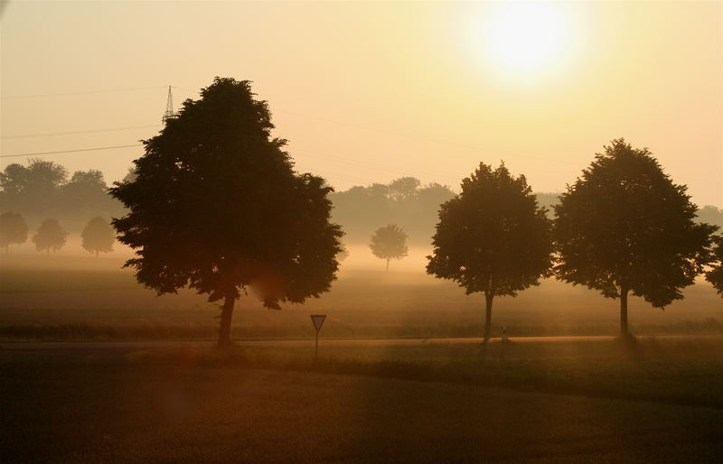 Nebelstimmung am Morgen