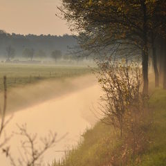 Nebelstimmung am Morgen