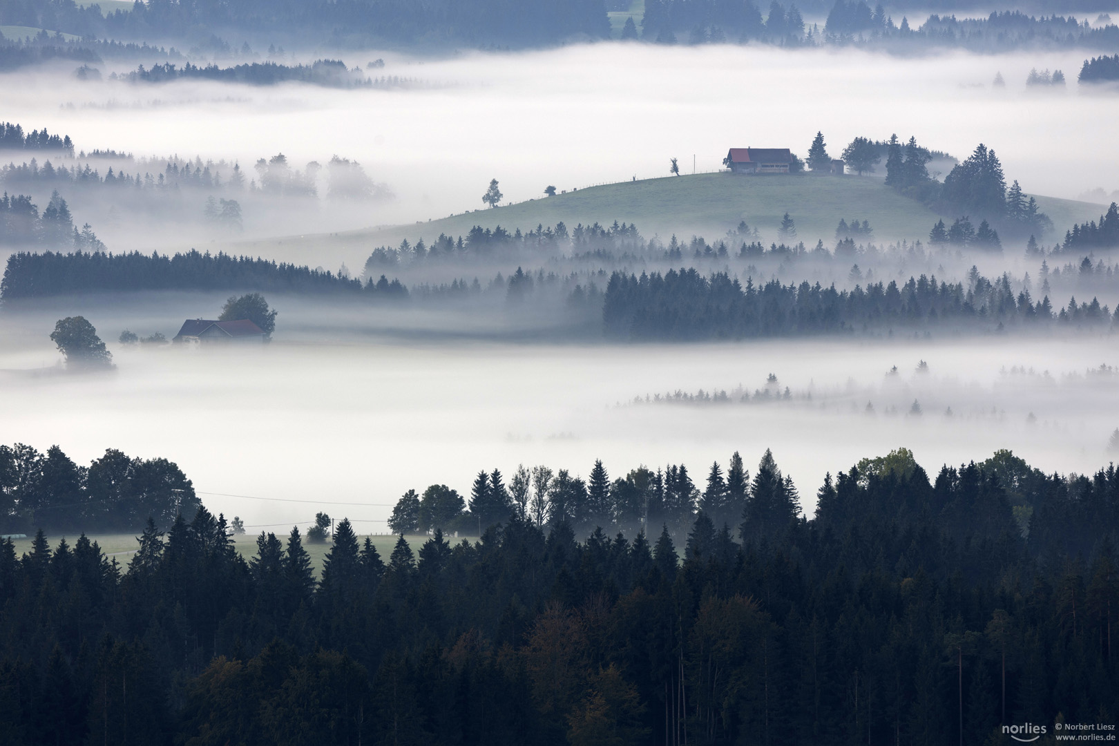 Nebelstimmung am Morgen