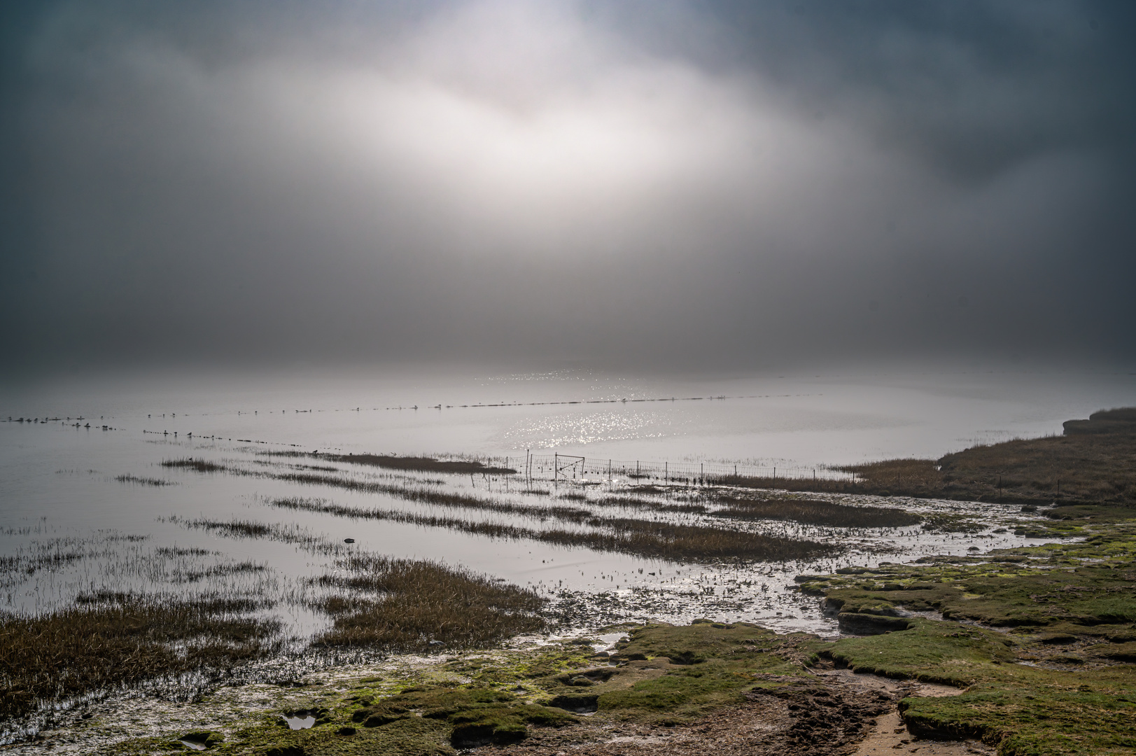 Nebelstimmung am Rantumer Becken