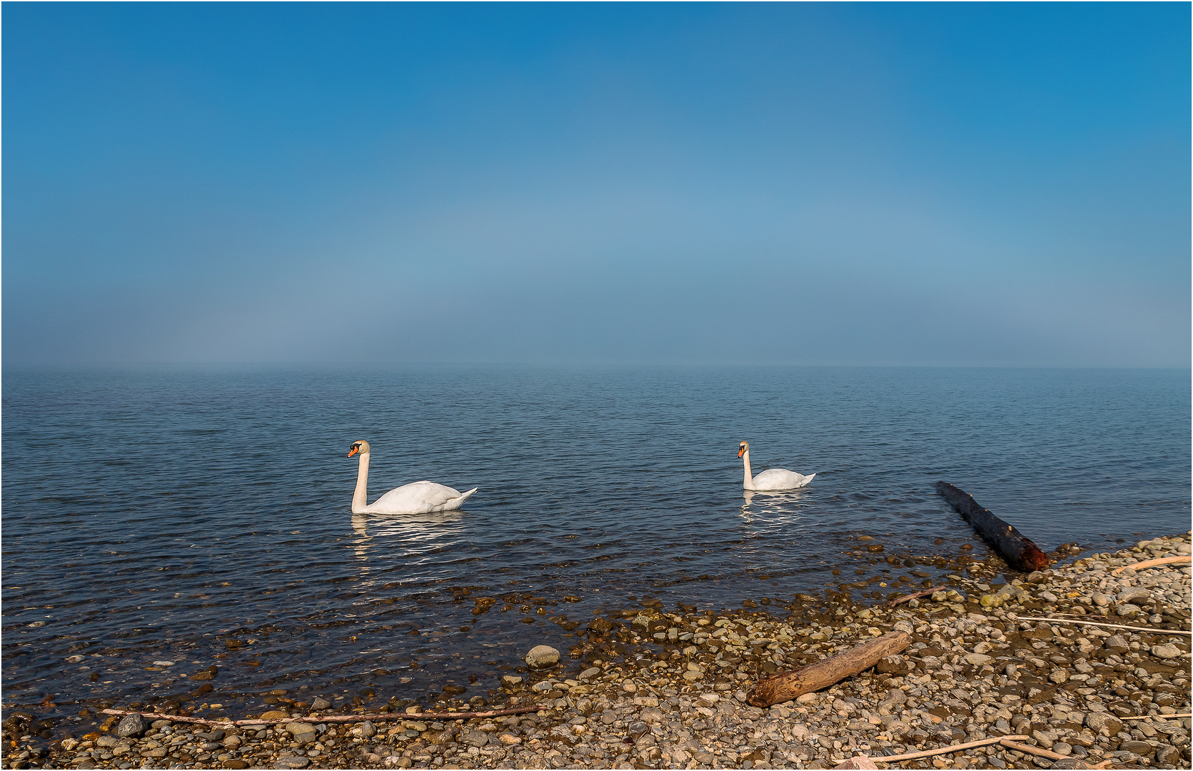 Nebelstimmung am Rheinspitz/Bodensee