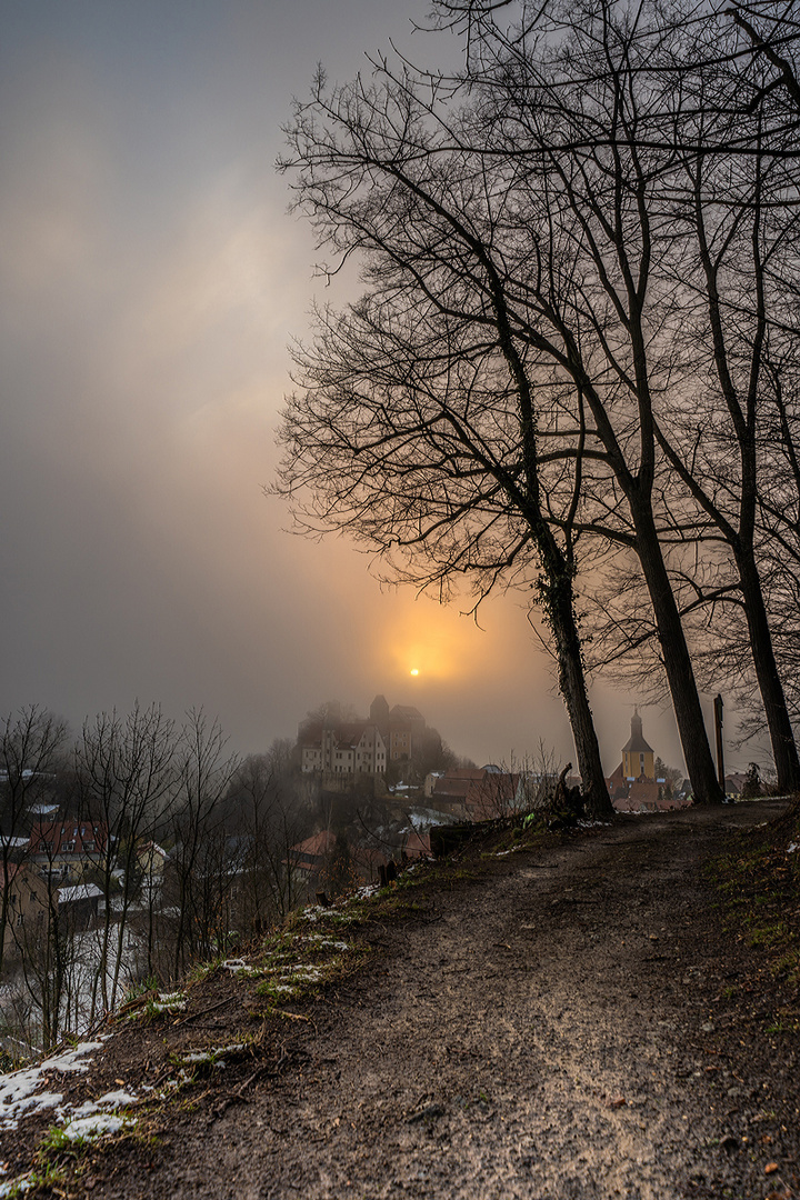 Nebelstimmung am Röhrenweg in Hohnstein