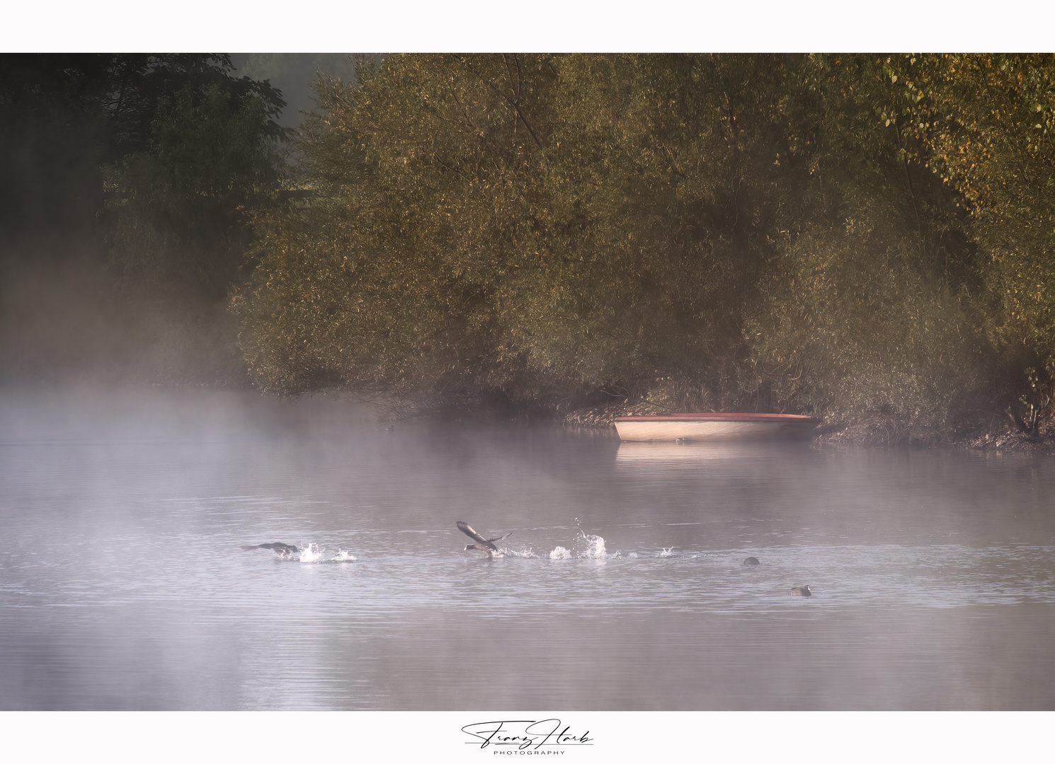 Nebelstimmung am Schotterteich