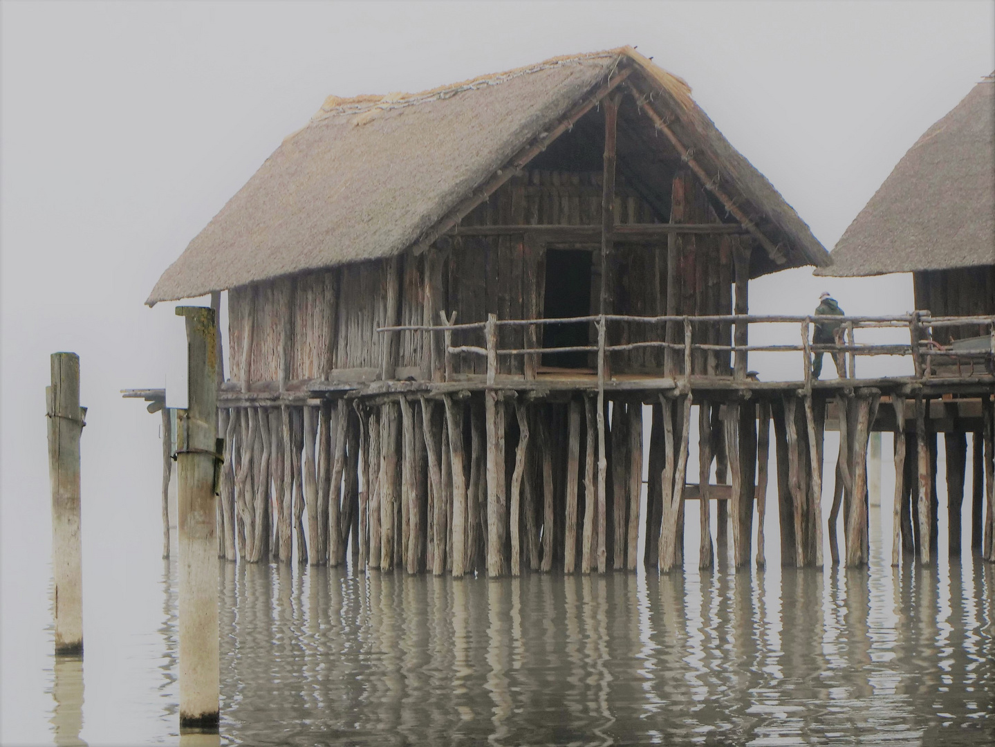 Nebelstimmung am See