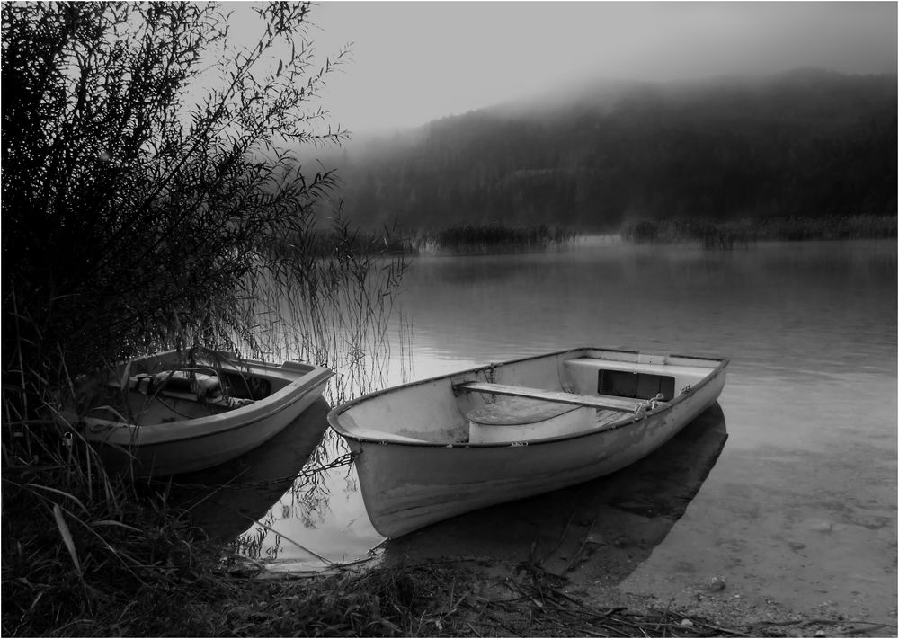 Nebelstimmung am See