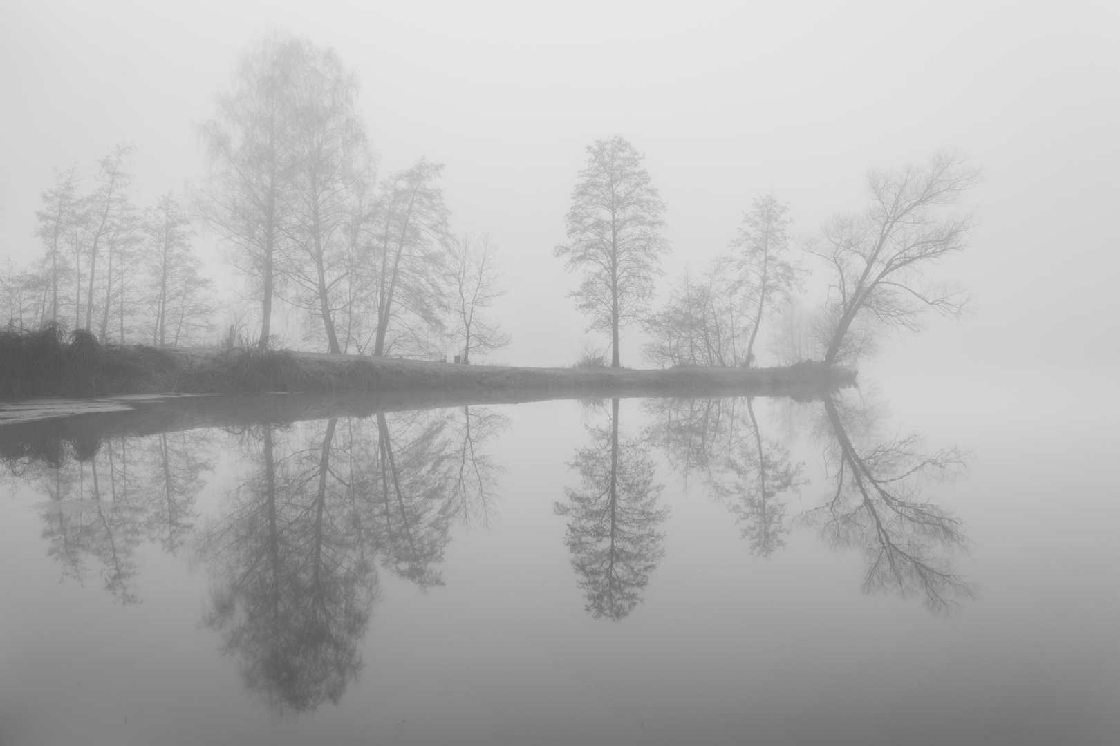 Nebelstimmung am See