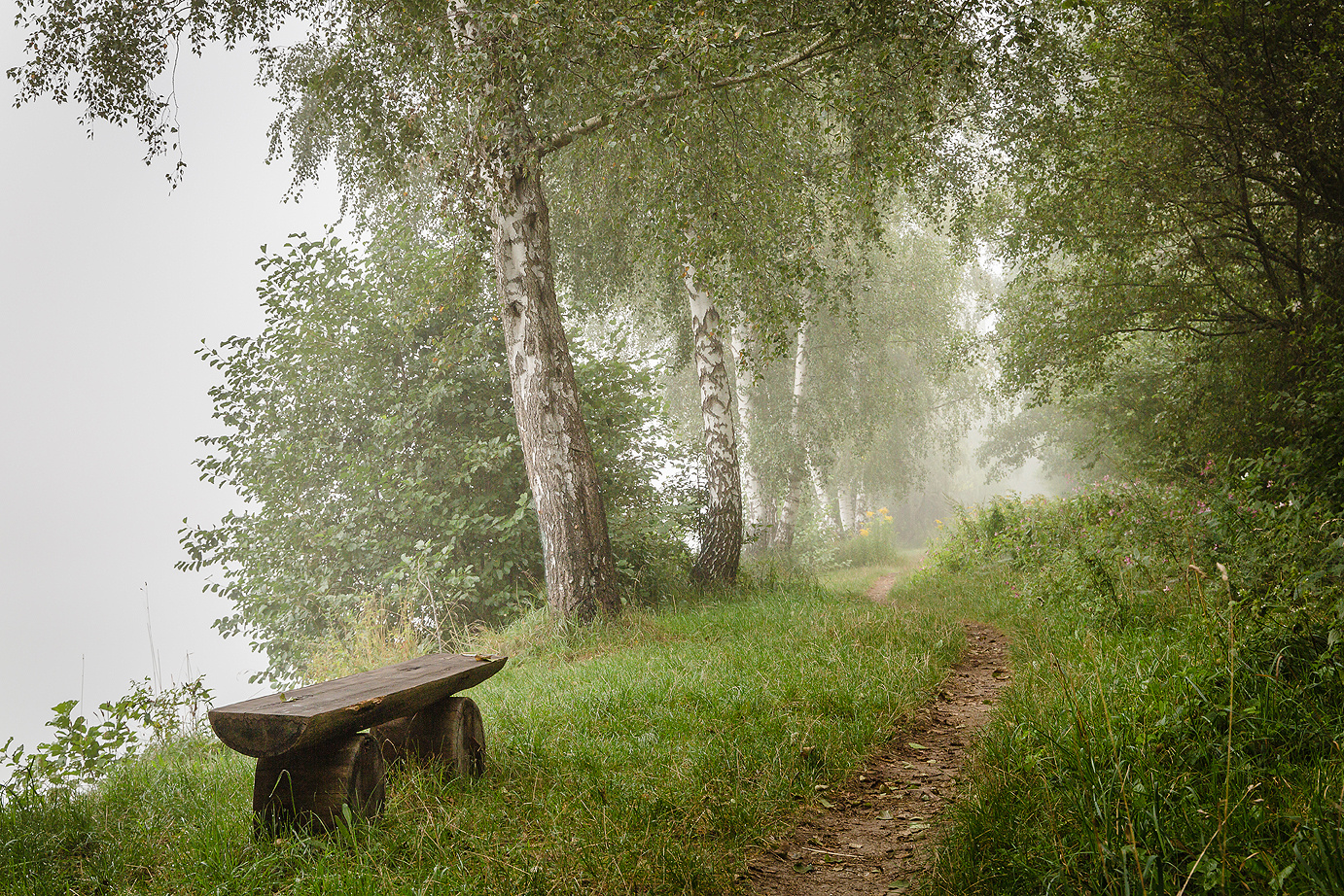 Nebelstimmung am See