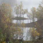 Nebelstimmung am See,im Hintergrund sieht man abstreichende Silberreiher.