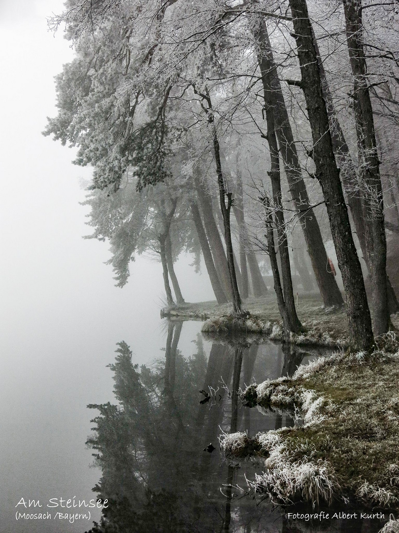 Nebelstimmung am Steinsee