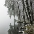 Nebelstimmung am Steinsee