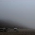 Nebelstimmung am Strand