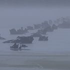 Nebelstimmung am Tauerwiesenteich