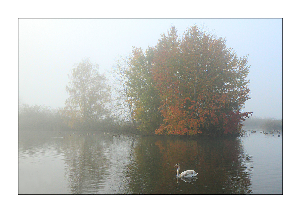 Nebelstimmung am Teich