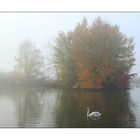 Nebelstimmung am Teich