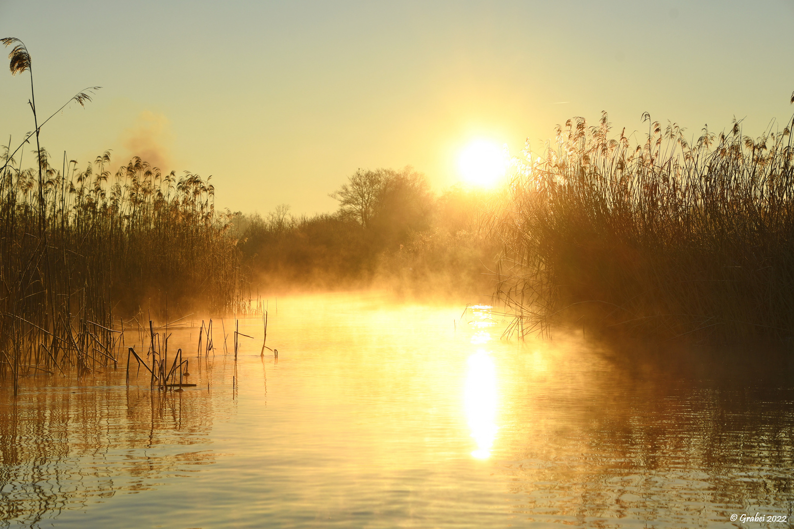 Nebelstimmung am Waginger See