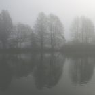 Nebelstimmung am Weiher