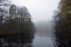 Nebelstimmung am Weiher