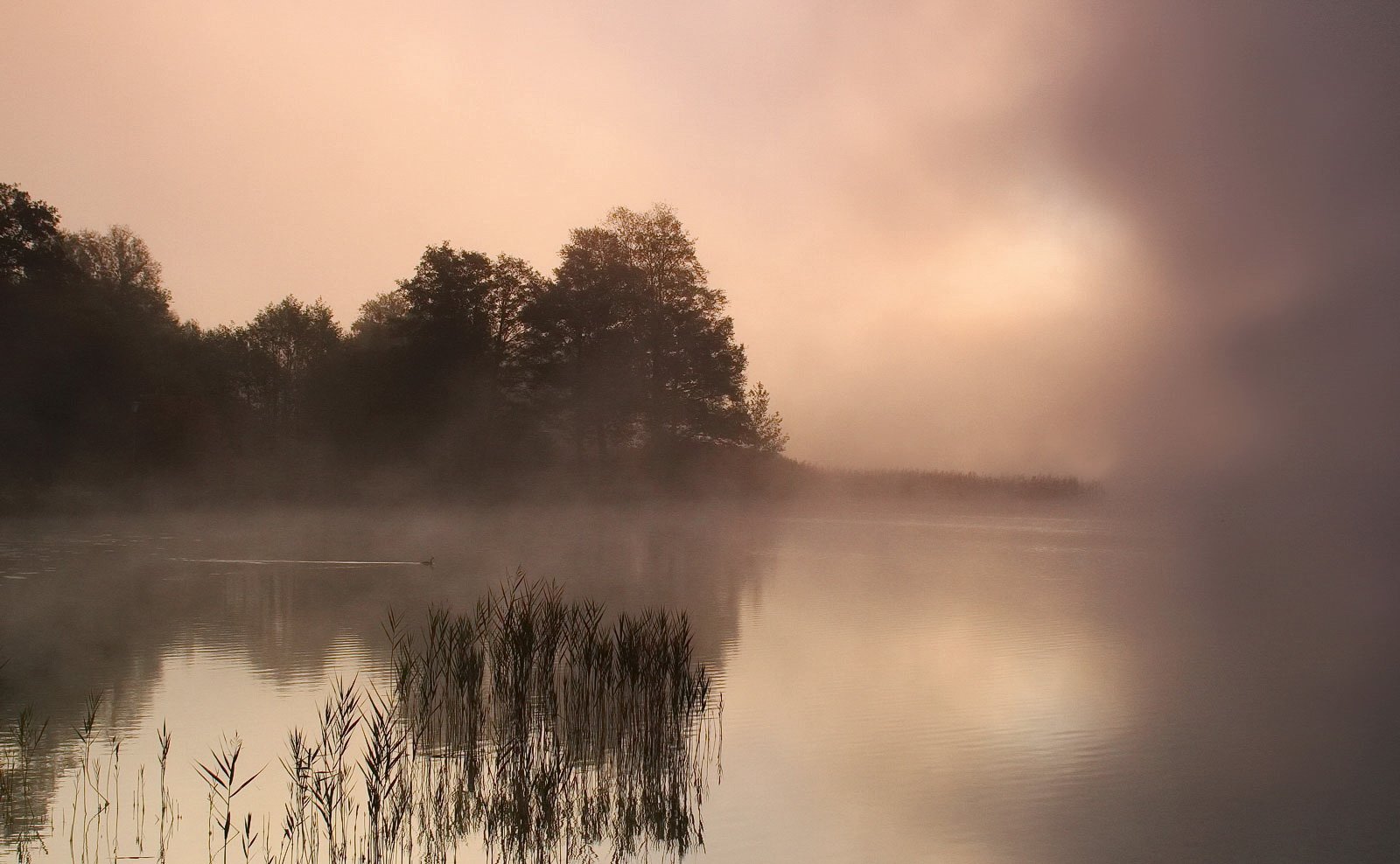 Nebelstimmung am Weissensee (Allgäu)