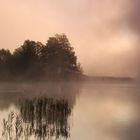 Nebelstimmung am Weissensee (Allgäu)