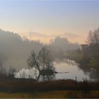 Nebelstimmung am Wenigerweiher ...