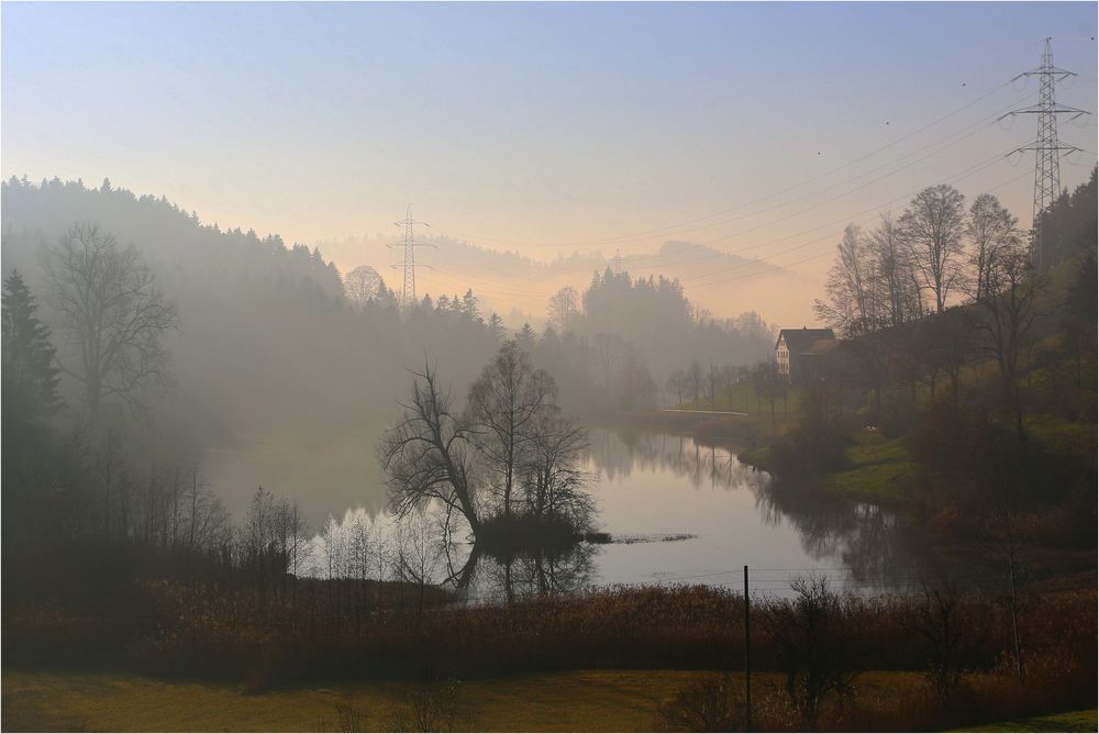 Nebelstimmung am Wenigerweiher ...