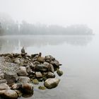 Nebelstimmung am Zugersee