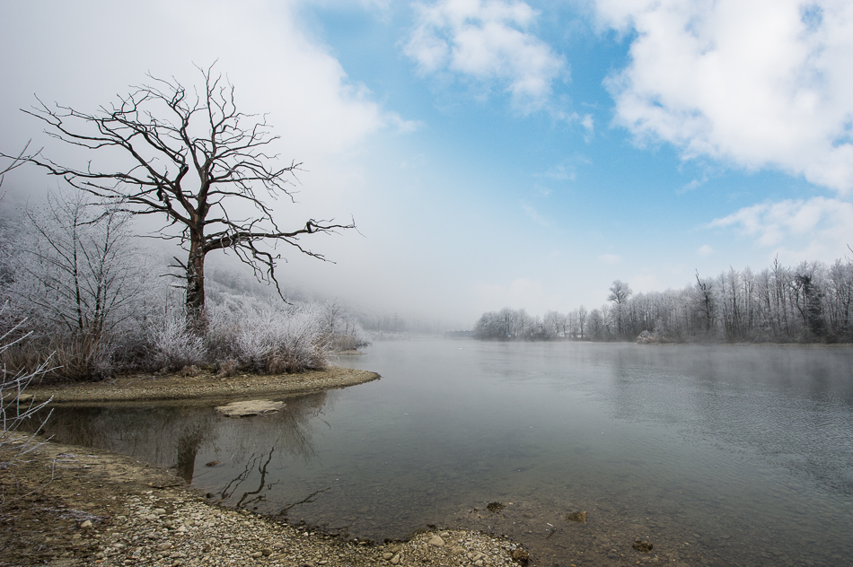 Nebelstimmung an der Aare