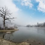 Nebelstimmung an der Aare