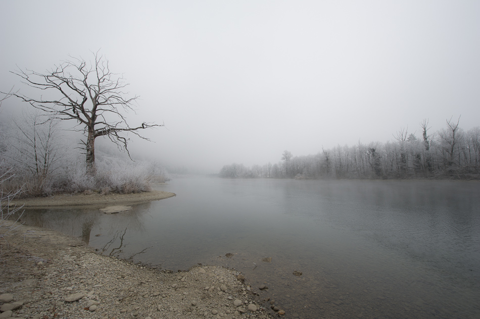 Nebelstimmung an der Aare2