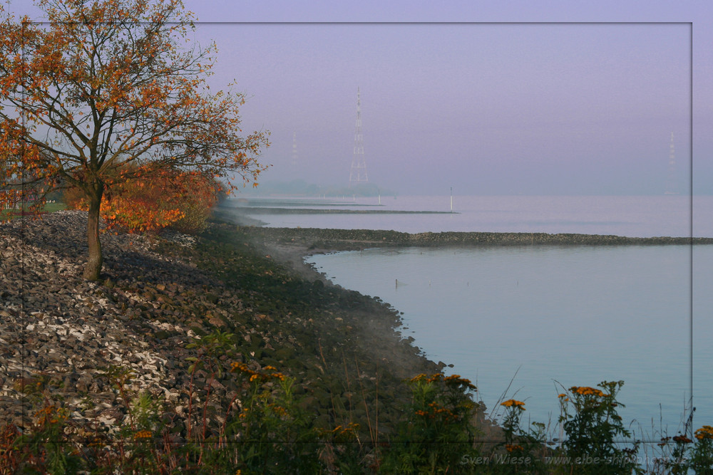 Nebelstimmung an der Elbe bei Lühe