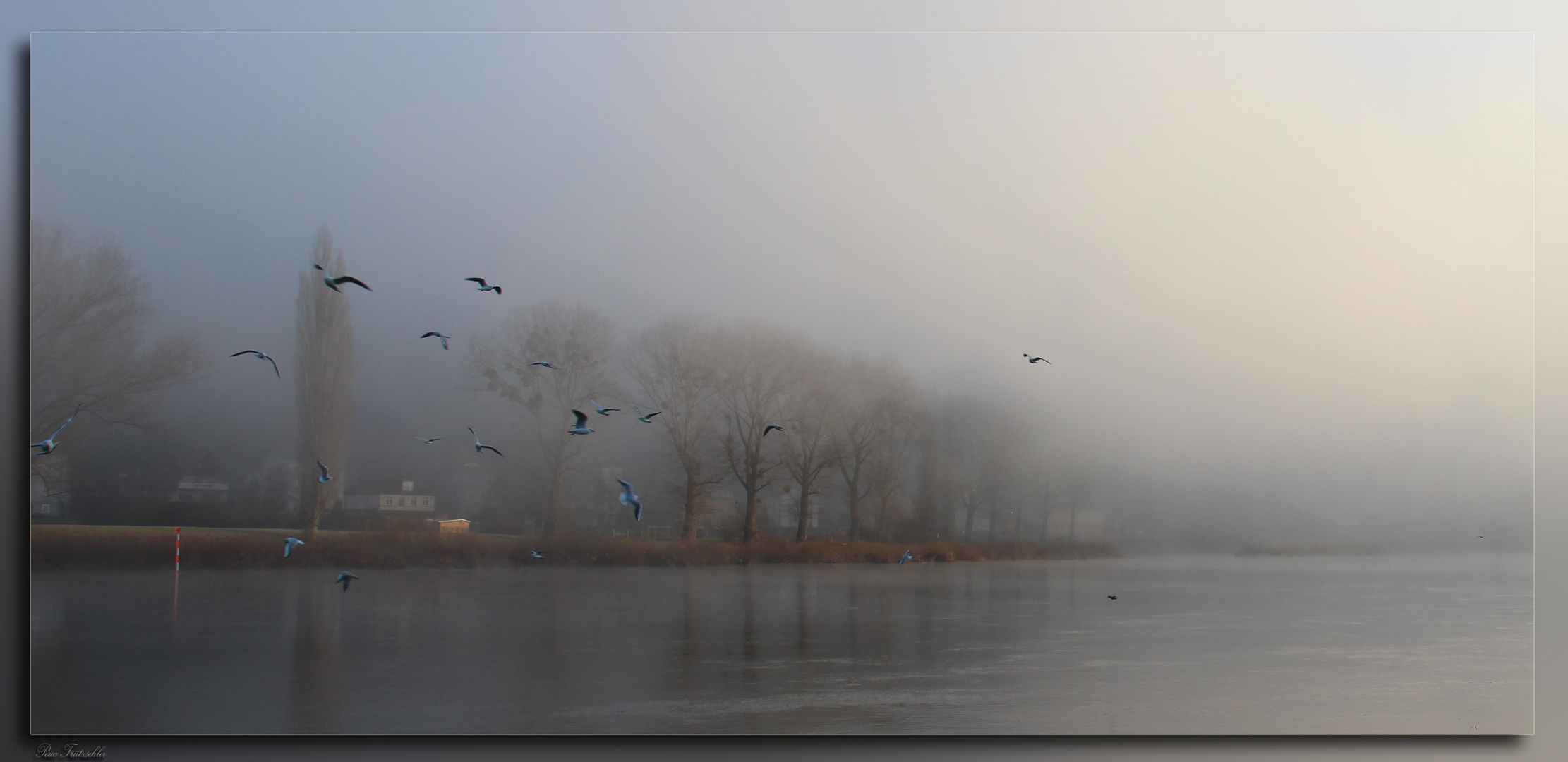 Nebelstimmung an der Elbe