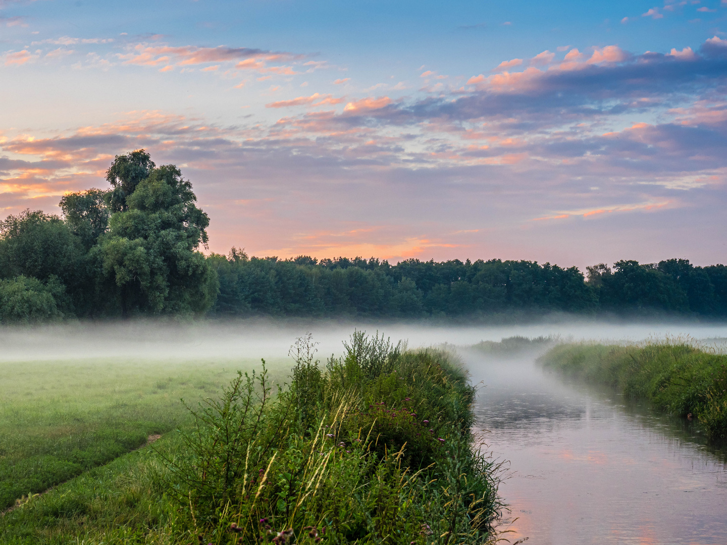 Nebelstimmung an der Erpe