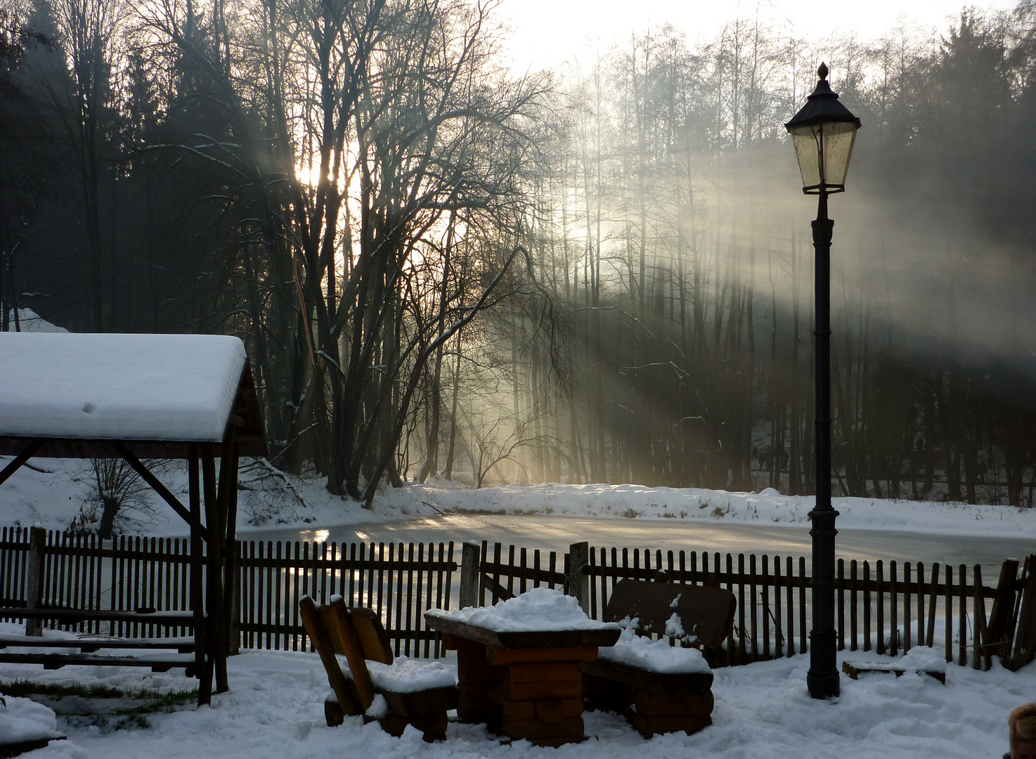 Nebelstimmung an der Naupoldsmühle