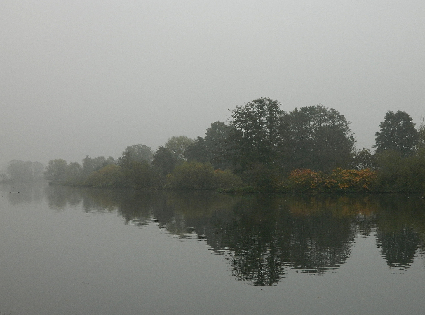 Nebelstimmung an der Ruhr