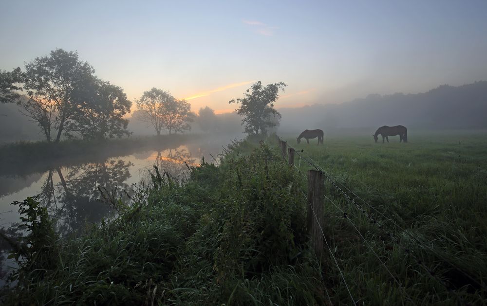 Nebelstimmung an der Trave