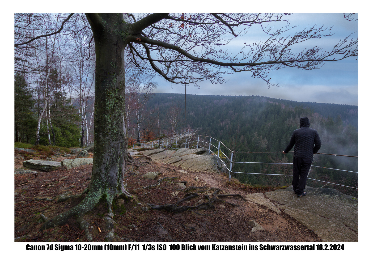 Nebelstimmung auf dem Katzenstein 